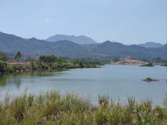 -大亚湾红树林城市湿地公园