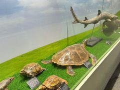 -宝岩生态观光园