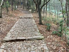 -雨花胜境