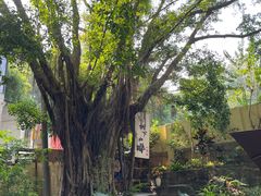 -火炉山森林公园