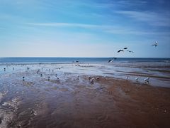 -青岛石老人海水浴场