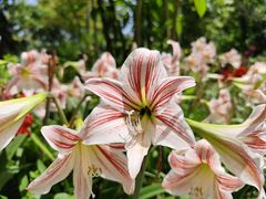 -四川大学(华西校区)