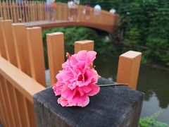 -迪茵湖田家舍生态农场