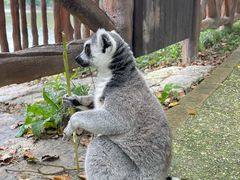 -上海野生动物园