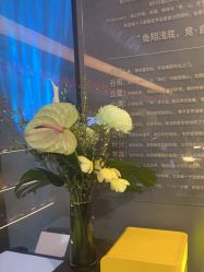 点击看大图 体验后-宸山医美·变美艺术馆