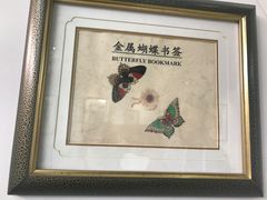 -上海昆虫博物馆