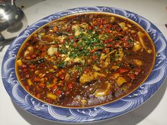 -新概念来凤鱼(璧山店)
