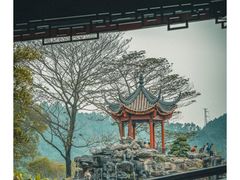 -顺峰山公园