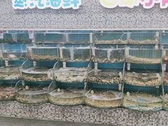 -仙螺岛海鲜自助餐厅(总店)