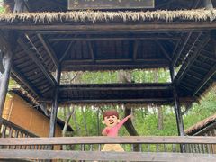 -杏花村文化旅游区