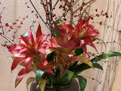 -旺顺阁海鲜广场(亚运村店)