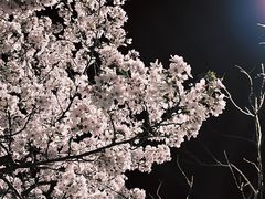 -龙美术馆(西岸馆)