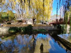 -元大都城垣遗址公园