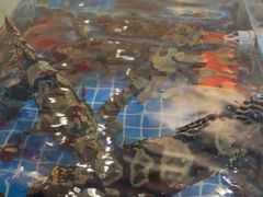 -和源祥·日照菜扛把子(万平口一店)