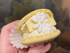 花花马卡龙桂花半熟口味芝士-好利来(马家堡店)