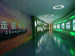 -金钉子远古世界景区