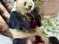 -无锡动物园·太湖欢乐园