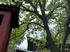 -报恩寺(平武县)