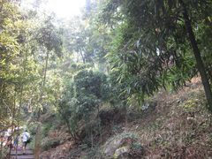 -藏龙百瀑风景区