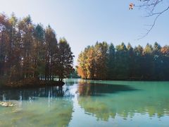 -阳澄湖半岛旅游度假区