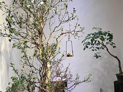 -成川茶店·潮汕工夫浓茶(万象店)