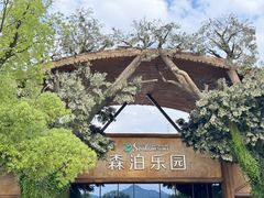 -杭州开元森泊度假乐园