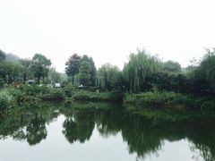 -天目湖涵田半山温泉