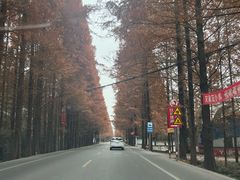 -报恩寺(平武县)