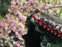 -宣武艺园