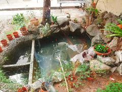 -憶廟街 X 沙角邨(太古城店)
