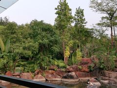 -西双版纳洲际度假酒店-海鲜傣味烧烤·侬香全日制餐厅