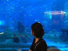 -亚特兰蒂斯•OSSIANO奥西亚诺海底餐厅
