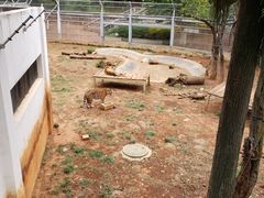 -昆明动物园