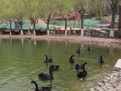 -静之湖度假区