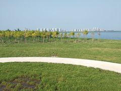 -天津东丽湖风景区