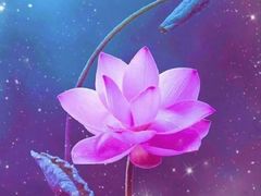 -重庆交通大学-1食堂