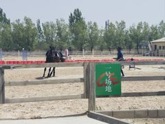 -北京群众马术培训基地