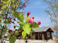 -永定河休闲森林公园