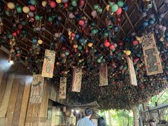 -西双版纳原始森林公园