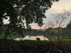 -桂林市榕杉湖景区