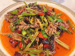 -付掌柜在成都·热炒砂锅集(金禾店)