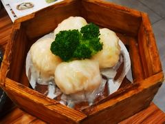 粤食堂虾饺皇-粤食堂(天津和悦汇店)