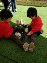 -萌宠亲子动物乐园(槐房万达店)