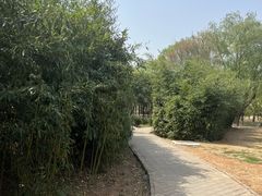 -定鼎门遗址博物馆