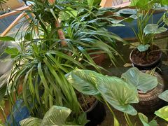 -皖香览约·徽菜(吴江吾悦店)