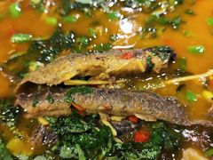 -盐帮食坊•小河帮川菜(四川师大店)