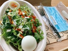 -油梨树AVOCADO TREE(望京店)