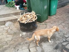 -化三驴肉汤馆老店