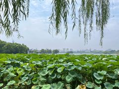 -济南大明湖景区