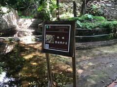 -北京上方山国家森林公园